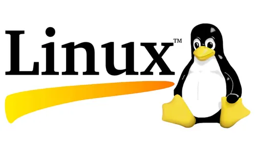 Linux là gì? Tại sao lập trình viên nên biết cách sử dụng Linux